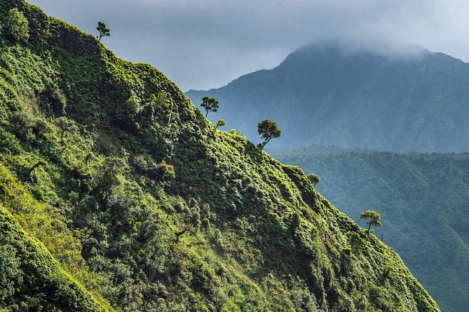 Kauai Eco Adventure Helicopter Tour - Stop by Stop: Nawiliwili Harbor, Kapaʻa, and the Wettest Mountain Magic