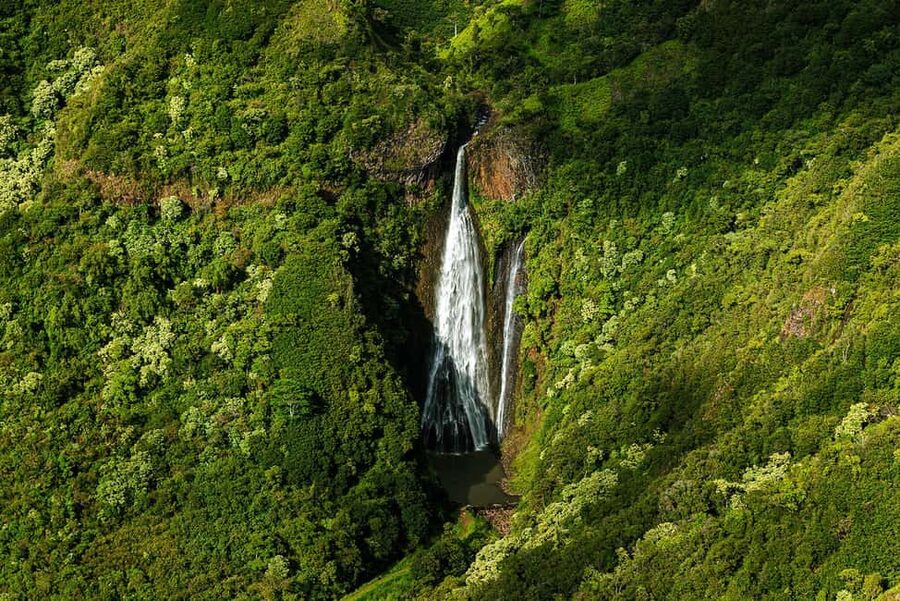 Kauai: Hughes 500 4-Passenger Doors-Off Helicopter Flight - Where you start: Airborne Aviation and the Jurassic Falls setup (Stop 1-2)