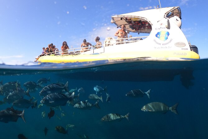 Kauai: Na Pali Coast Super Raft Snorkel Adventure - Wildlife watching: dolphins, turtles, and sometimes whales