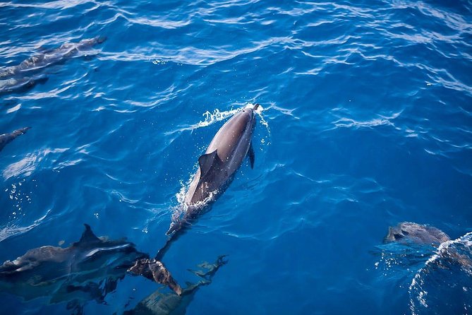Kauai: Na Pali Sunset & Sightsee Boat Tour - Photos, Caves, and the Splash Zone Tip