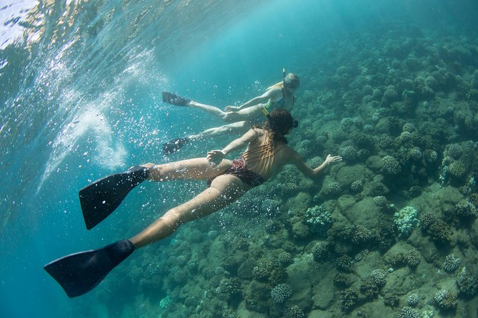 Kauai’s Na Pali Coast Snorkel and Sail Tour - Breakfast, Lunch, and Drinks That Make This a True Value Day