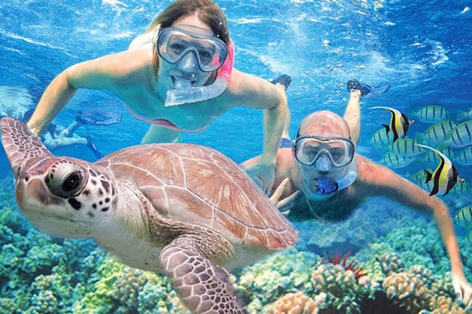 Kauai’s Ultimate Guided Shore Snorkel in South Poipu - Key highlights that make this Poipu snorkel worth it