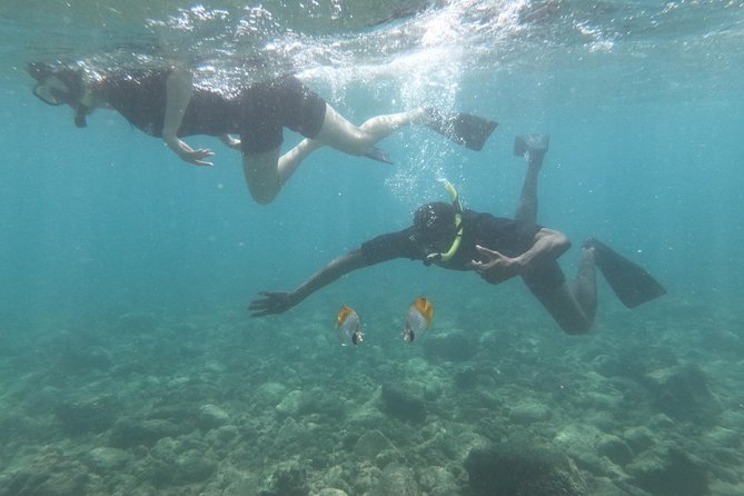 Kauai’s Ultimate Guided Shore Snorkel in South Poipu - Gear and what you do not need to bring
