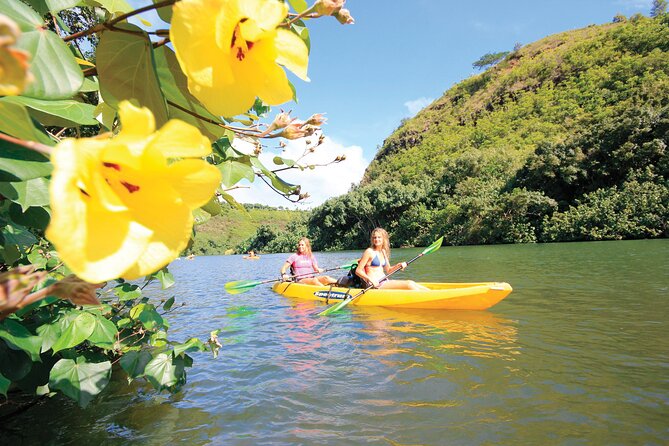 Kauai: Secret Falls Kayak and Hike - The rainforest hike: short in distance, slippery in reality