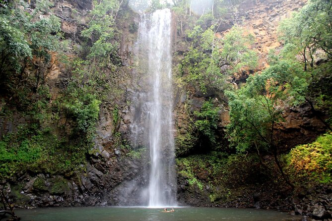 Kauai: Secret Falls Kayak and Hike - Guides make this tour feel personal, not just procedural