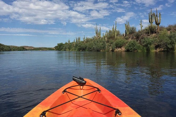 Kayaking the Salt River Foxtail Trip - Key Highlights You Will Notice Right Away