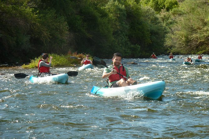 Kayaking the Salt River Foxtail Trip - Wildlife Moments: Wild Horses, Otters, Birds, and How to Improve Your Chances