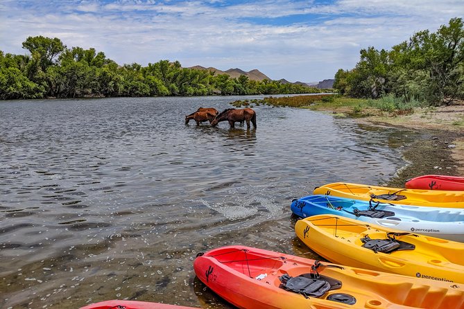 Kayaking the Salt River Foxtail Trip - What to Wear and Bring, So You Enjoy It Instead of Managing It