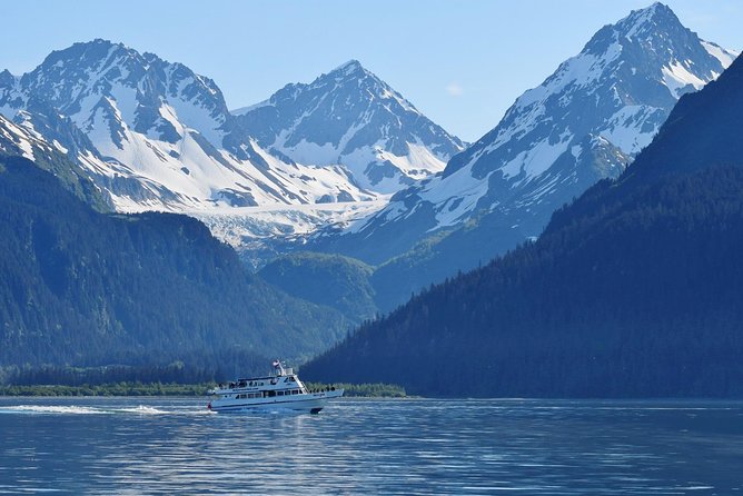 Kenai Fjords and Resurrection Bay Half-Day Wildlife Cruise - Onboard Comfort: Binoculars, Coffee Tea, and Wet Weather Reality