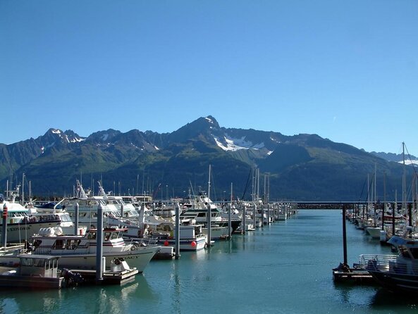 Kenai Fjords and Resurrection Bay Half-Day Wildlife Cruise - Should You Book This Kenai Fjords and Resurrection Bay Cruise?