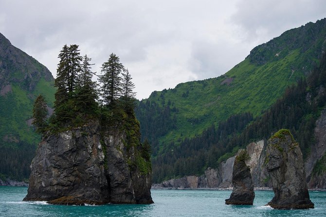 Kenai Fjords and Resurrection Bay Half-Day Wildlife Cruise - Cape Resurrection: Sea Lions and Seabirds, the Wildlife Two-Step