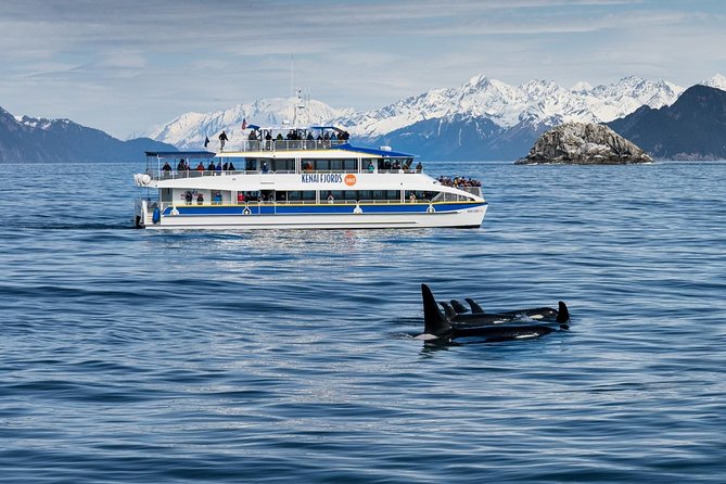 Kenai Fjords National Park Glacier & Wildlife Cruise - The bird island stops: Chiswell Islands or Cape Resurrection