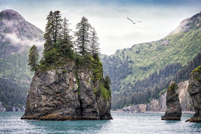 Kenai Fjords National Park Glacier & Wildlife Cruise - Comfort, lunch, and onboard setup: how it affects your experience