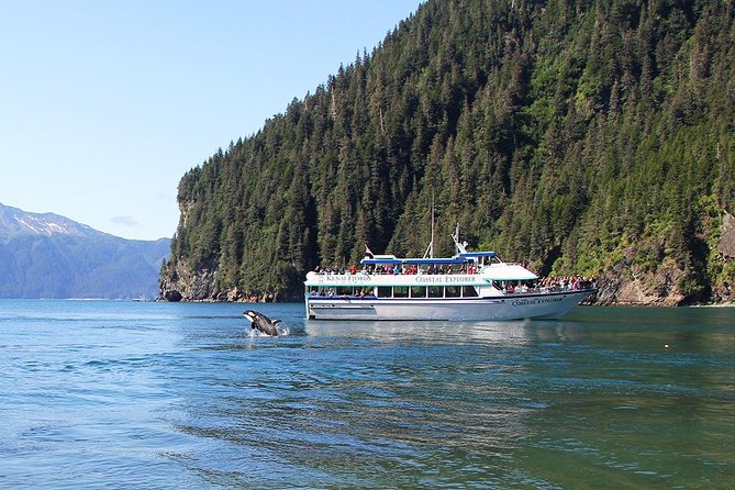 Kenai Fjords National Park Glacier & Wildlife Tour from Seward - Alaska Maritime National Wildlife Refuge: seabird rookeries you can actually see