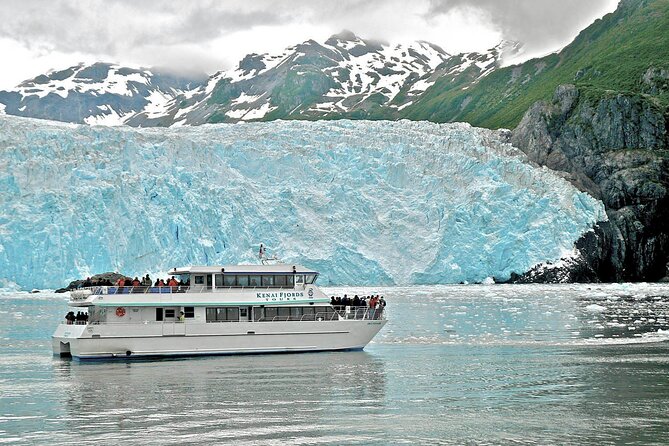 Kenai Fjords National Park Glacier & Wildlife Tour from Seward - Timing, getting there, and how to choose the right morning slot
