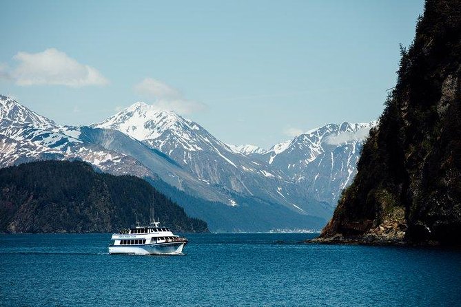 Kenai Fjords National Park Glacier & Wildlife Tour from Seward - Why the captain’s wildlife narration is the real upgrade