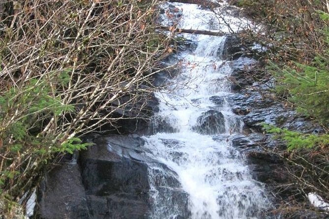 Ketchikan All In One - The Town Ride and Cascading Water Photo Break