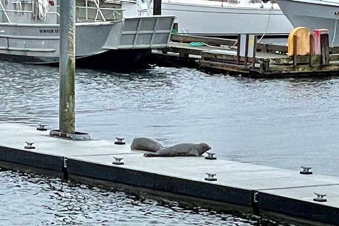 Ketchikan Duck Tour - The harbor splash: your best chance to see Ketchikan like a working port