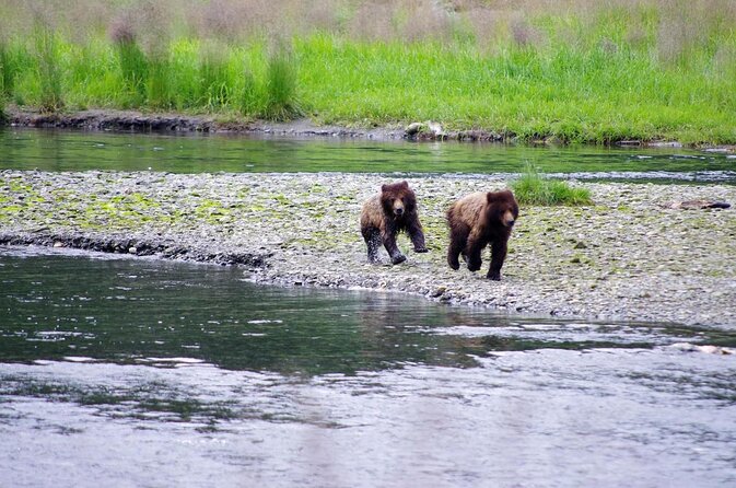 Ketchikan Kayak Eco-Tour - Key Things That Make This Kayak Eco-Tour Worth Your Time