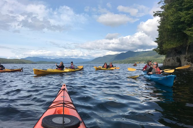 Ketchikan Kayak Eco-Tour - On the Water: What the Paddling Actually Feels Like