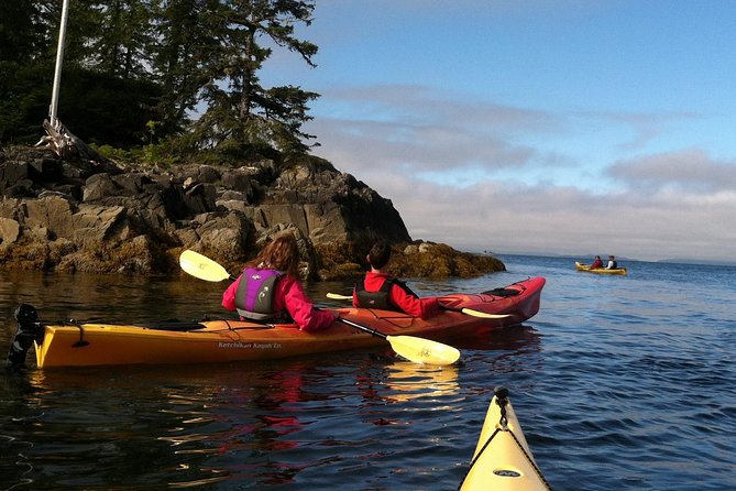 Ketchikan Kayak Eco-Tour - The Intertidal Lesson: Starfish, urchins, and Why Low Tide Matters