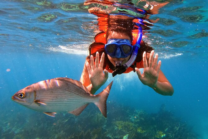Key Largo Two Reef Snorkel Tour - All Snorkel Equipment Included! - Check-in and departure, what the first hour looks like