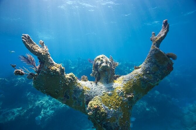 Key Largo Two Reef Snorkel Tour - All Snorkel Equipment Included! - Marine life you can realistically look for in Key Largo