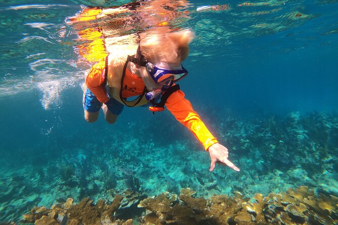 Key Largo Two Reef Snorkel Tour - All Snorkel Equipment Included! - Weather, sea state, and what to pack for a colder boat ride