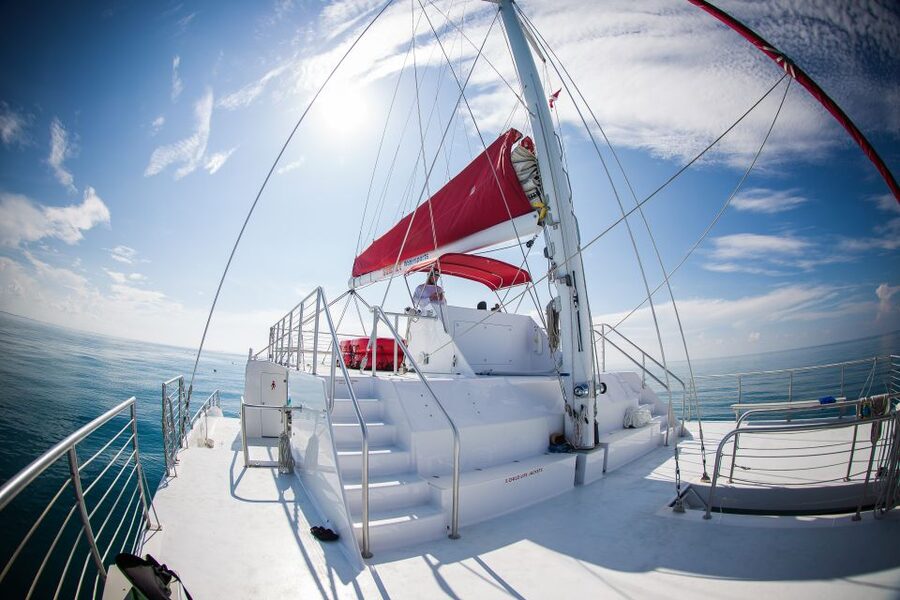 Key West: 3-Hour Afternoon Reef Snorkel with Drinks - Key West Reef Snorkel Quick Hits