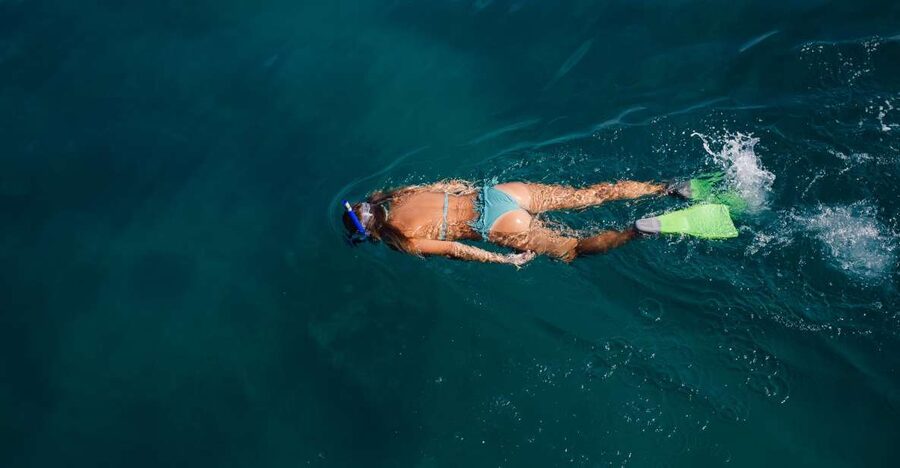 Key West: 3-Hour Afternoon Reef Snorkel with Drinks - Why This 3-Hour Reef Trip Works So Well in Key West