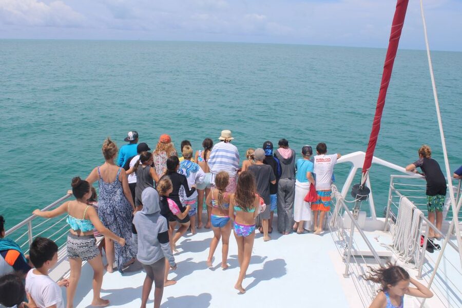Key West: 3-Hour Afternoon Reef Snorkel with Drinks - Price and Value: Is $59 a Good Deal?