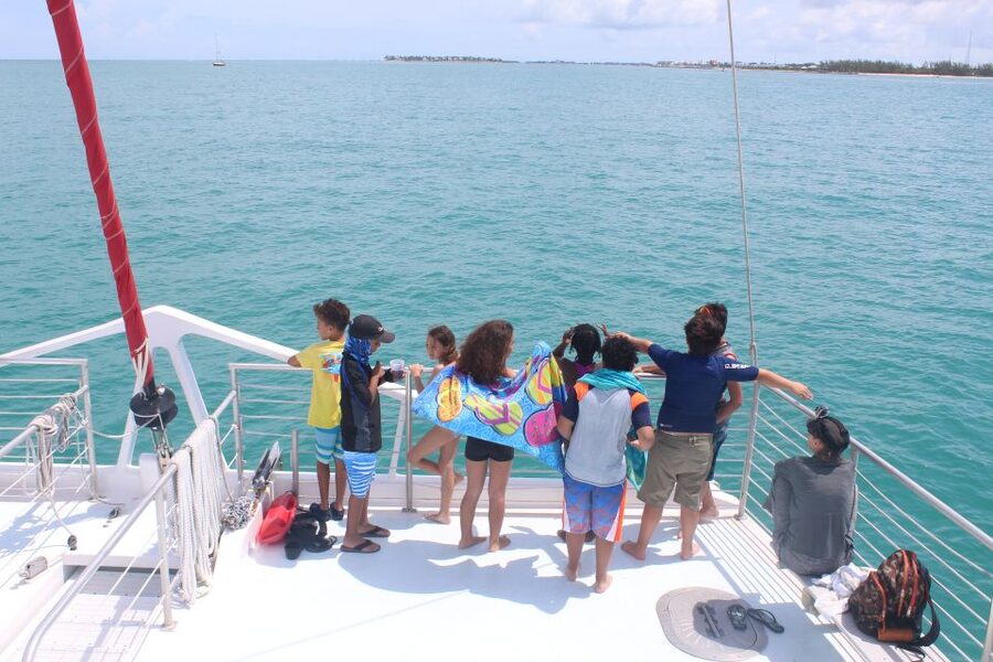 Key West: 3-Hour Afternoon Reef Snorkel with Drinks - Who Should Book This Tour, and Who Might Not