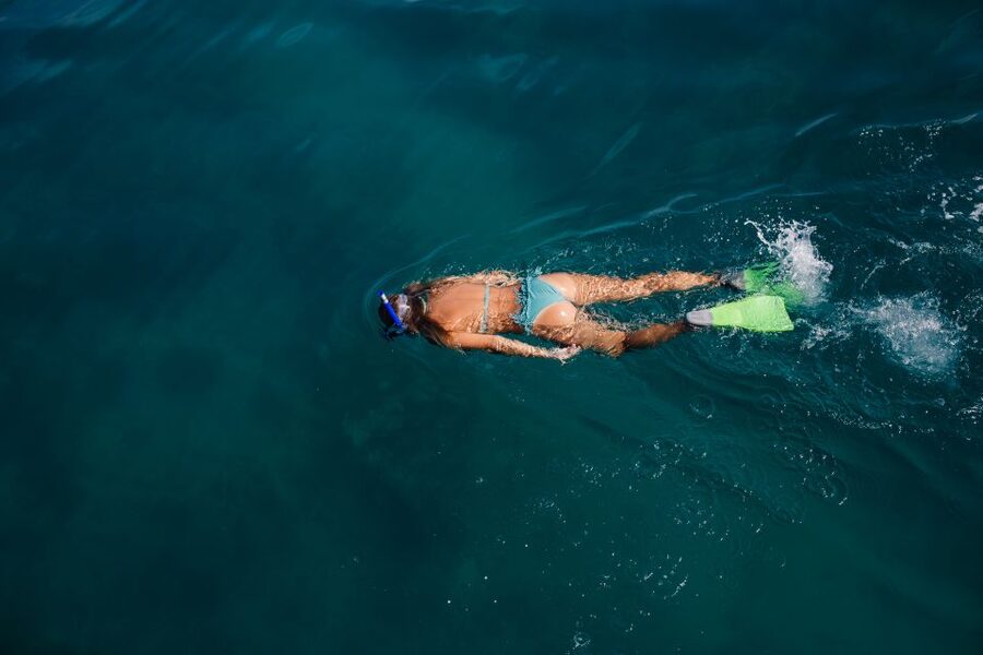 Key West: 3-Hour Afternoon Reef Snorkel with Drinks - The 3-Hour Flow: Cruise Out, Snorkel Session, Drinks on the Return