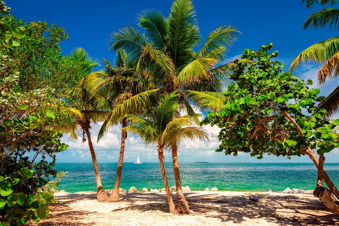 Key West Day Trip from Miami with Activities - Arriving in Key West: drop off point and how to use your free time