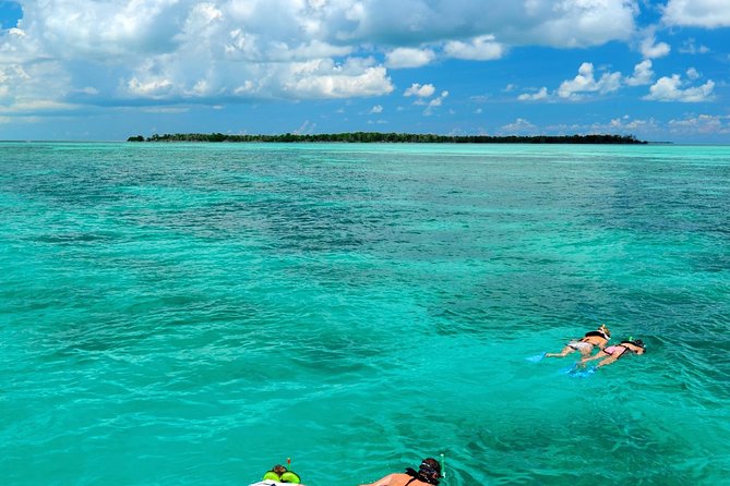 Key West Dolphin Watch and Snorkel Tour - Eco Adventure - A Catamaran Combo Tour for Dolphins and Gulf Snorkels