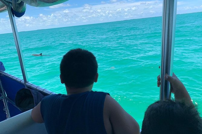 Key West Dolphin Watch and Snorkel Tour - Eco Adventure - Stop 1 cruising in the Florida Keys area, and why it is not just transit