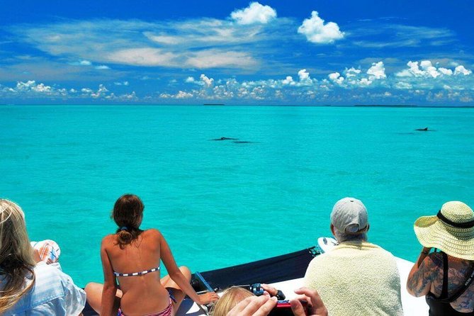 Key West Dolphin Watch and Snorkel Tour - Eco Adventure - Stop 2 snorkeling in the Key West National Wildlife Refuge: what the water is like