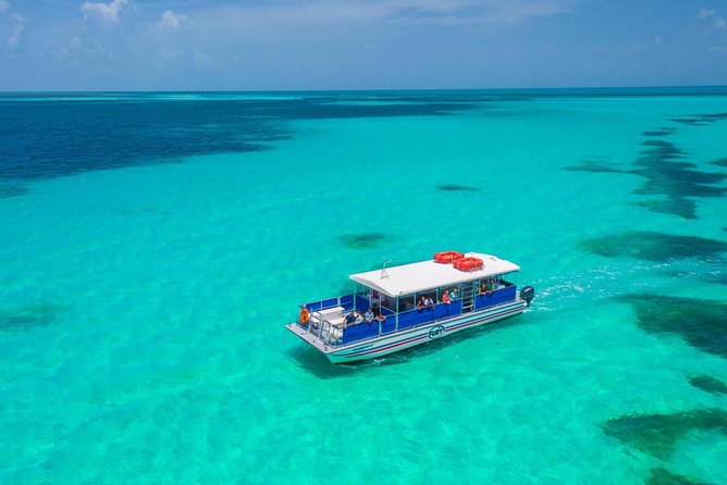 Key West Dolphin Watch and Snorkel Tour - Eco Adventure - Snacks, drinks, and the boat comfort you will actually notice