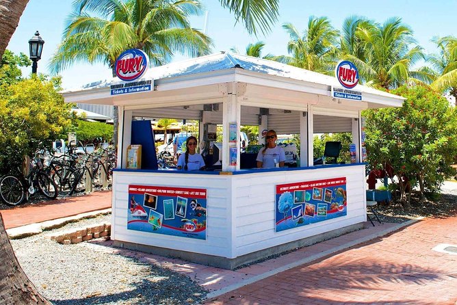 Key West Dolphin Watch and Snorkel Tour - Eco Adventure - Snorkeling gear and rules: the “know how to swim” part is non-negotiable