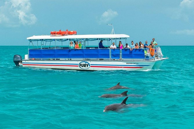 Key West Dolphin Watch and Snorkel Tour - Eco Adventure - Timing, meeting point, and how the 3 hours usually roll