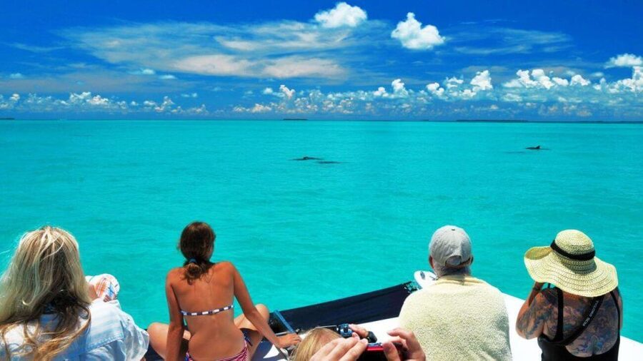 Key West: Dolphin Watching and Snorkeling Eco Cruise Tour - Key Highlights That Make This Cruise Worth Your Time
