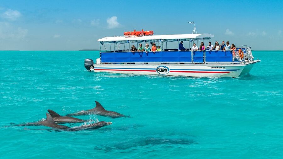 Key West: Dolphin Watching and Snorkeling Eco Cruise Tour - A 3-Hour Catamaran Day That Feels Like Key West in Motion