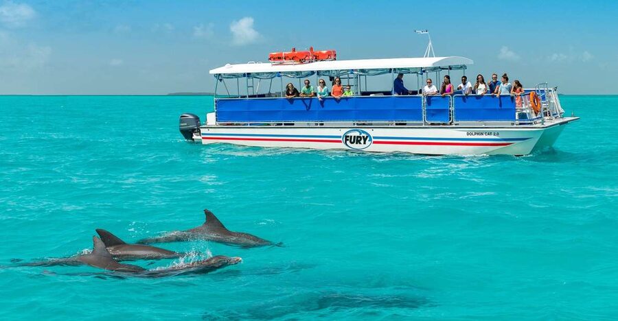 Key West: Dolphin Watching and Snorkeling Eco Cruise Tour - Tips to Get the Most From Your Dolphin and Snorkel Day