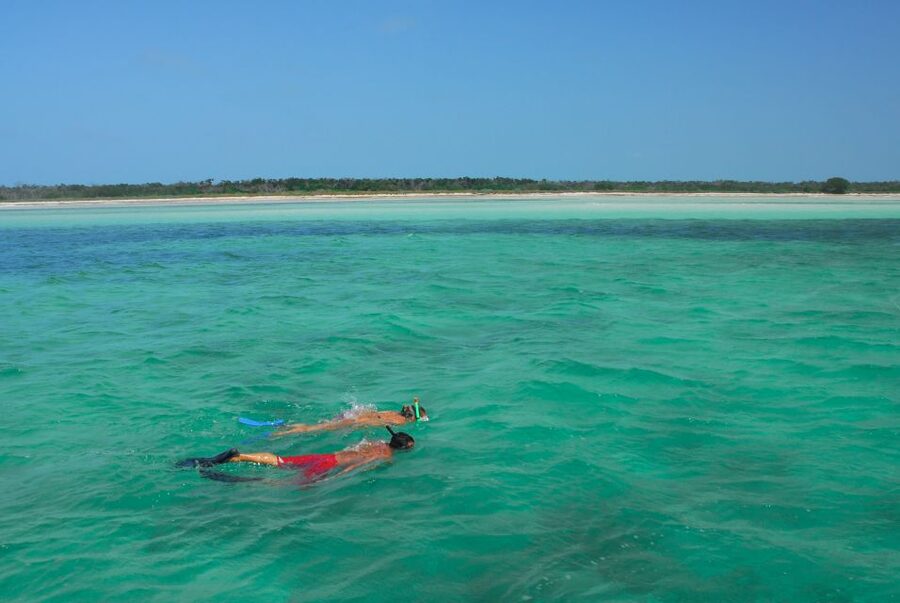 Key West: Dolphin Watching and Snorkeling Eco Cruise Tour - Final Verdict: Should You Book This Key West Dolphin Watching and Snorkeling Cruise?