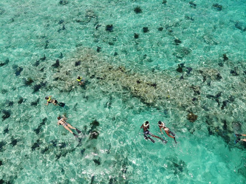 Key West: Dolphin Watching and Snorkeling Sunset Cruise - Key highlights you should care about