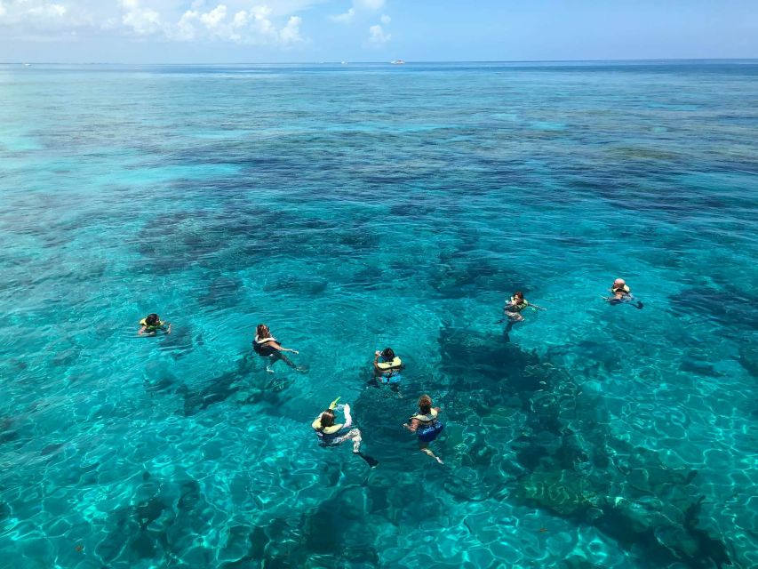 Key West: Dolphin Watching and Snorkeling Sunset Cruise - The boat ride experience: comfort, safety, and how to dress