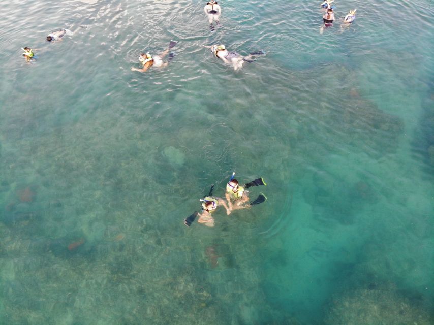 Key West: Dolphin Watching and Snorkeling Sunset Cruise - Price and value: what $79 really buys you in Key West