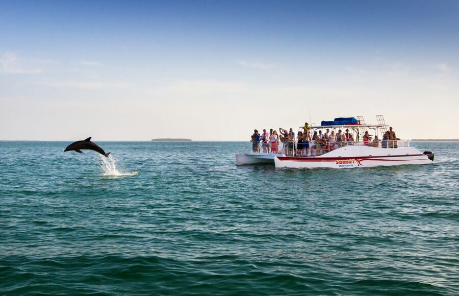 Key West: Dolphin Watching and Snorkeling Sunset Cruise - Who should book this cruise, and who should consider alternatives