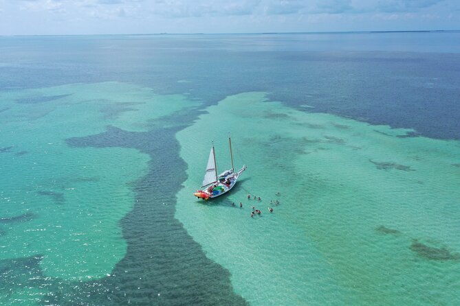 Key West Full-Day Ocean Adventure: Kayak, Snorkel, Sail - The Florida Keys National Marine Sanctuary stop: why it matters