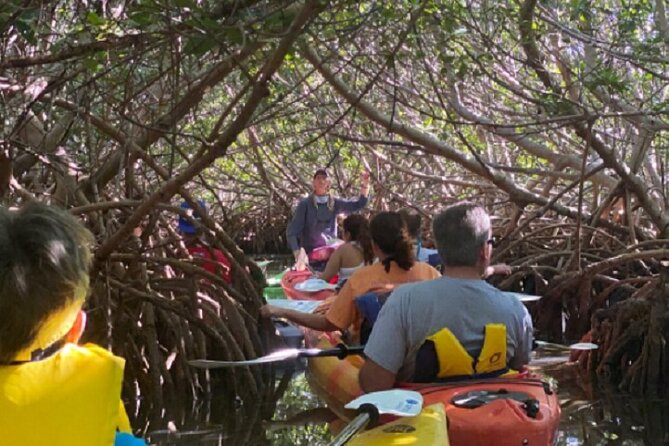Key West Mangrove Kayak Eco Tour - Two hours of mangrove creeks: the itinerary flow that keeps it fun